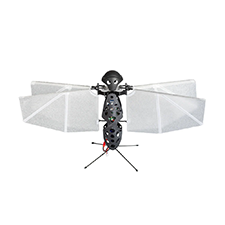 SCIVARO4