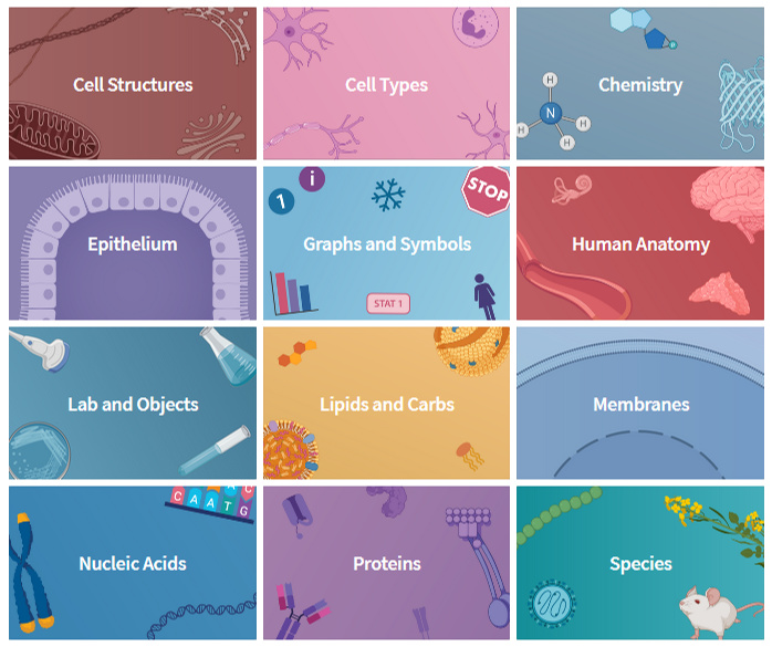 biorender_life-science_icon_ss1 biorender_life-science_icon_ss1